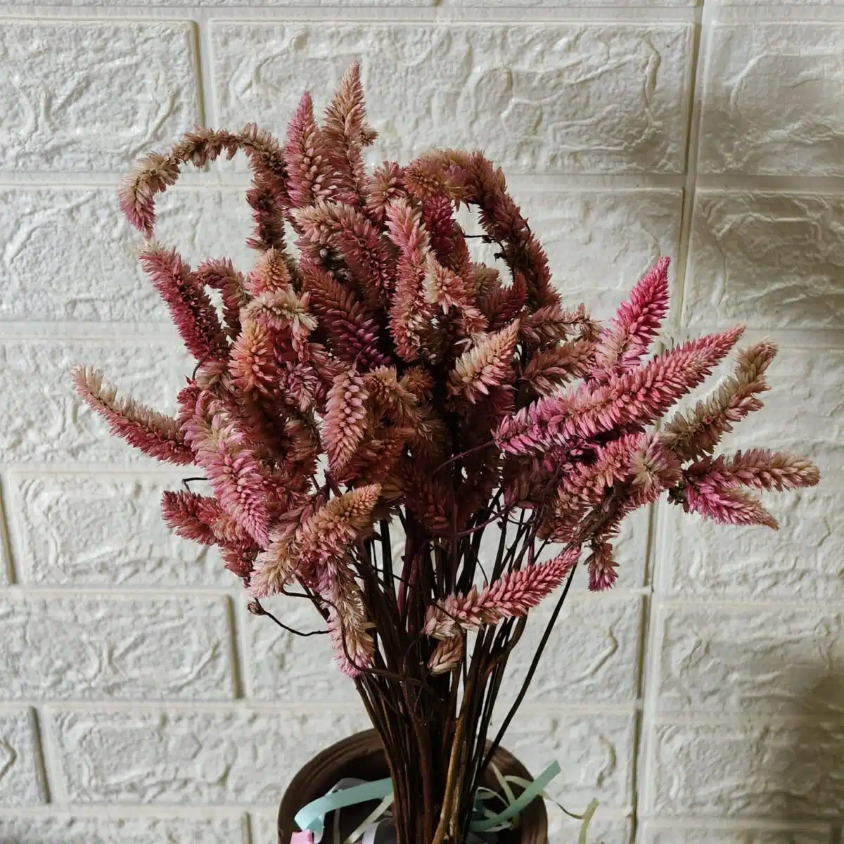 Dried Celosia Flowers, Flamingo Feather - Image 4
