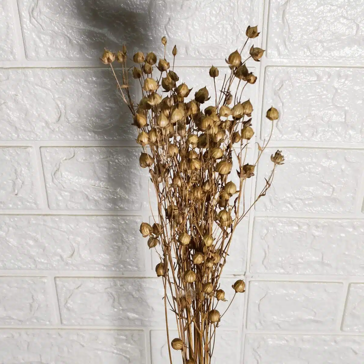 Dried Linseed Flax Flowers - Image 4