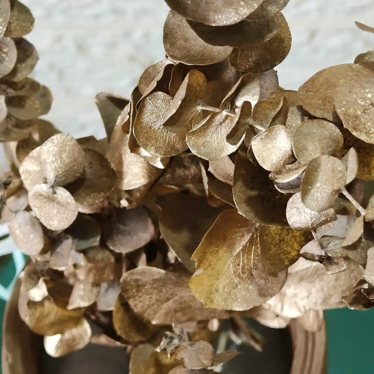 Naturally Dried Eucalypyus Stems (Gold Spray) - Set Of Five Stem - Image 9