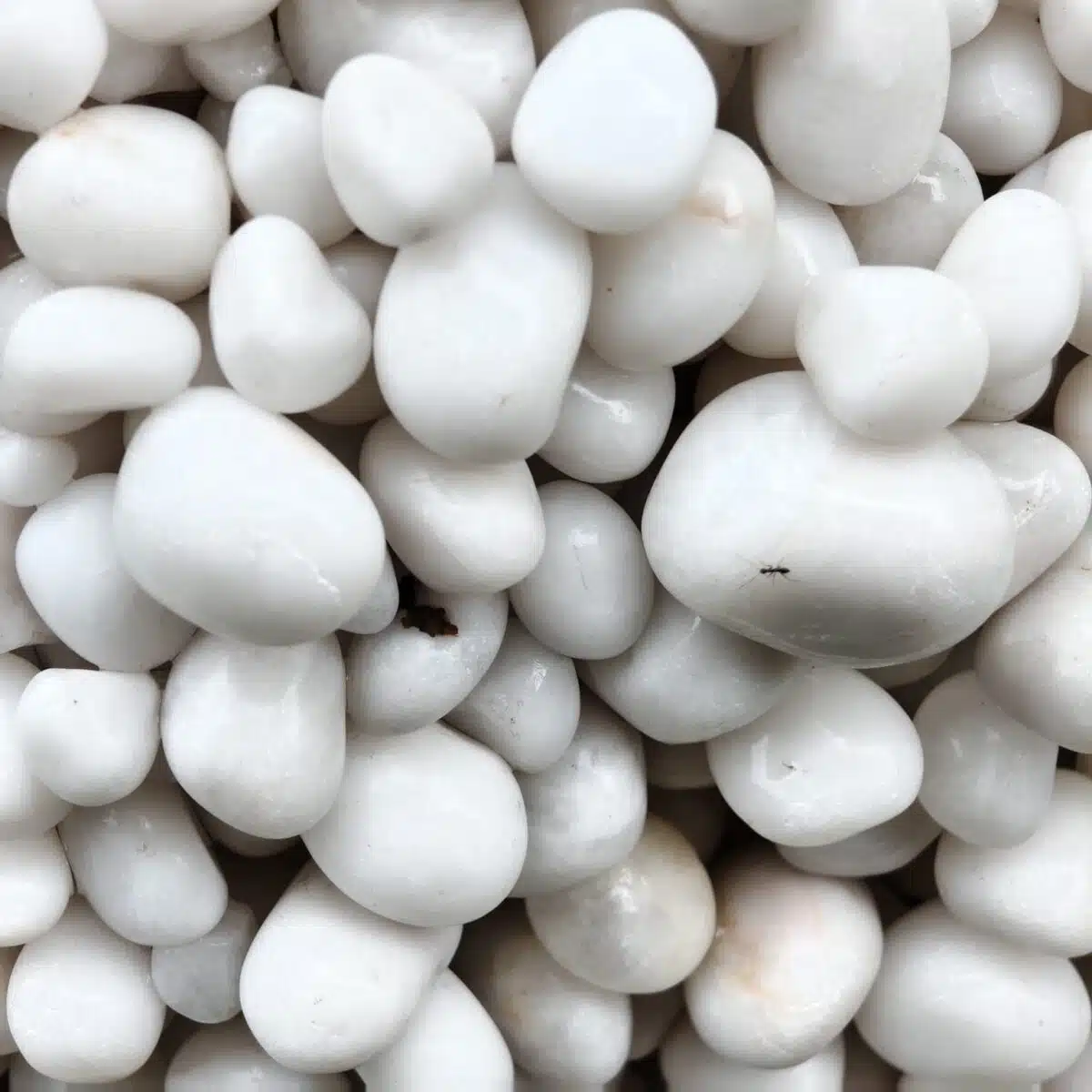 White Pebbles Polished  10-20 mm - Image 8