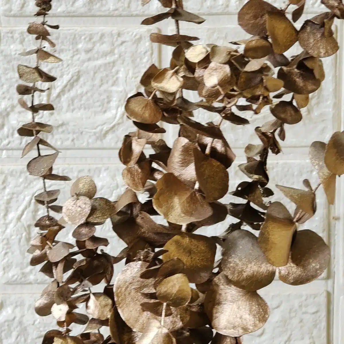 Naturally Dried Eucalypyus Stems (Gold Spray) - Set Of Five Stem - Image 7