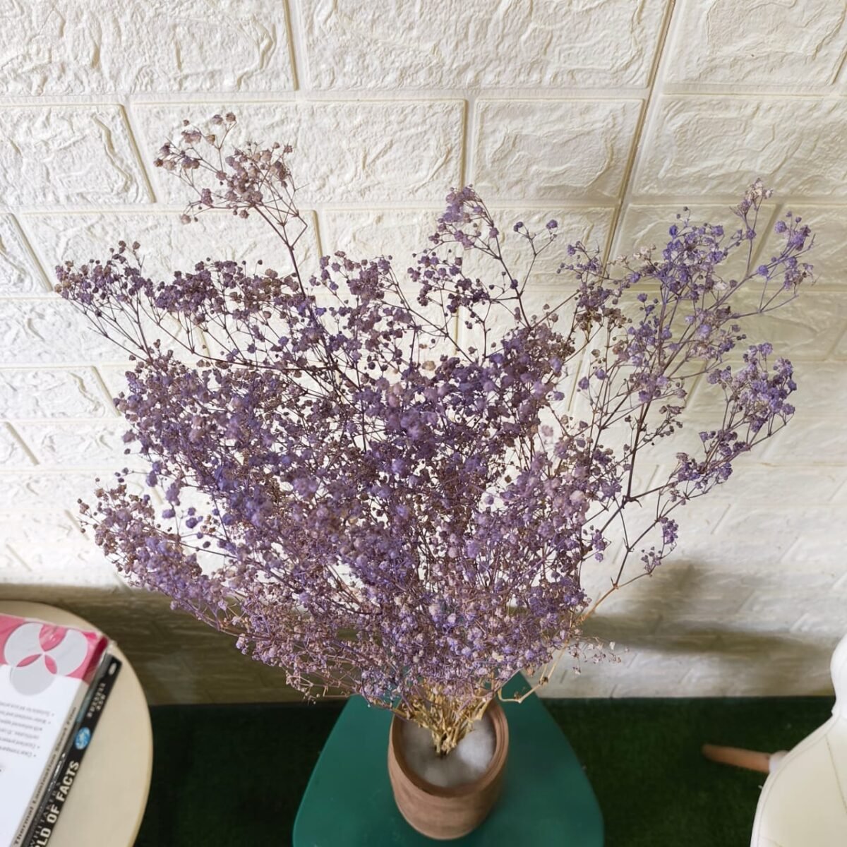 Naturally Dried Gypsophila Baby Breath Stems (Lavender) - Image 1