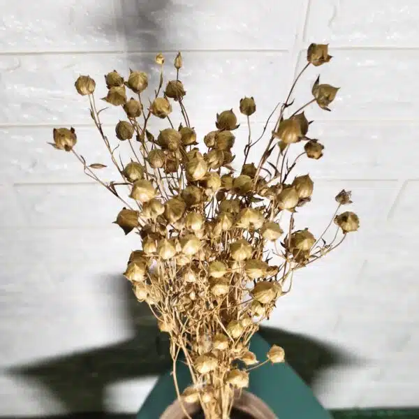 Dried Linseed Flax Flowers - Image 6
