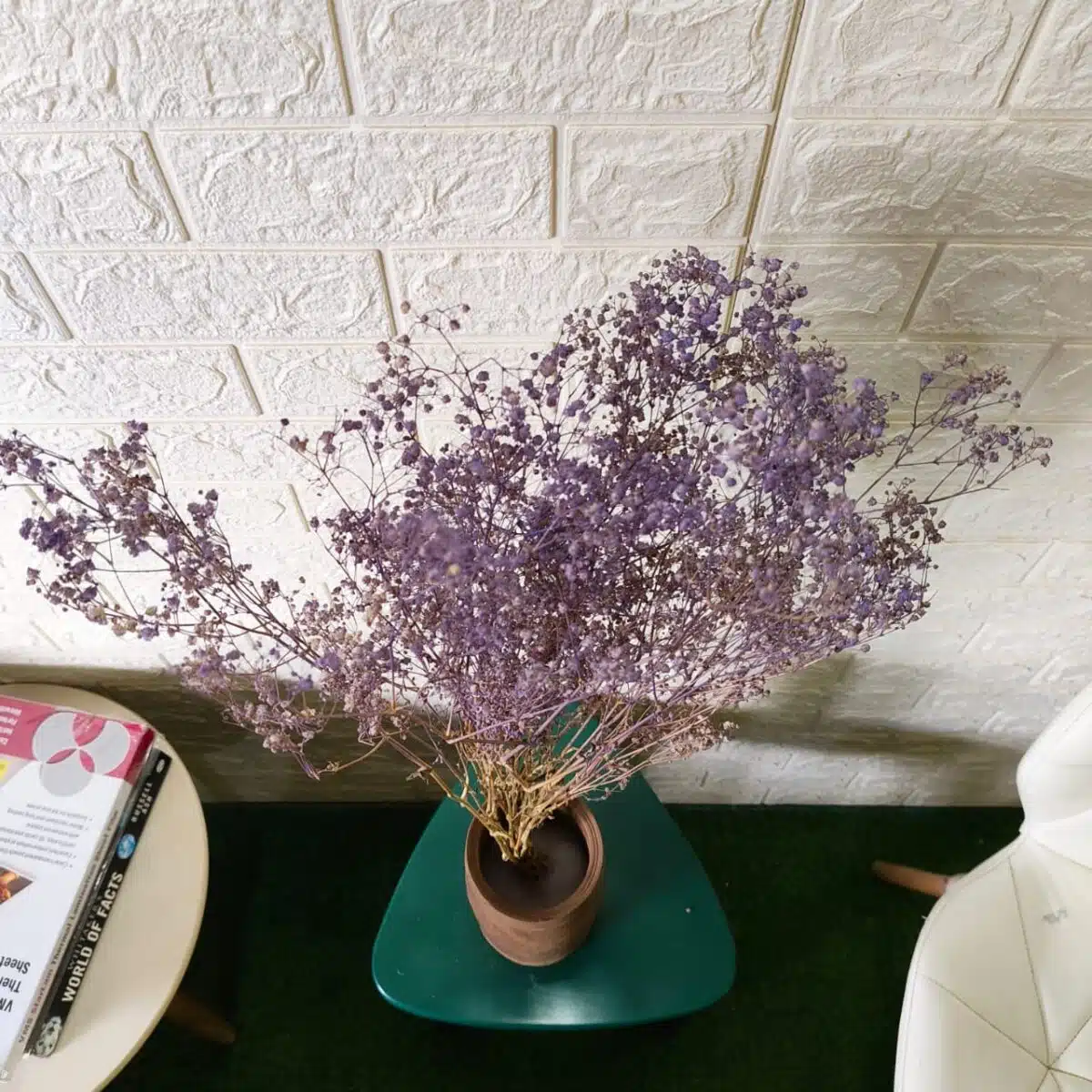 Naturally Dried Gypsophila Baby Breath Stems (Lavender) - Image 2