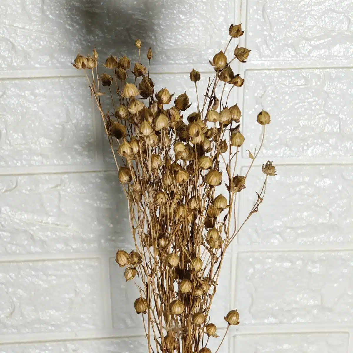 Dried Linseed Flax Flowers - Image 5