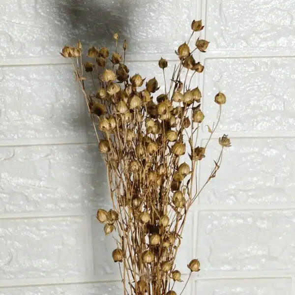 Dried Linseed Flax Flowers - Image 5
