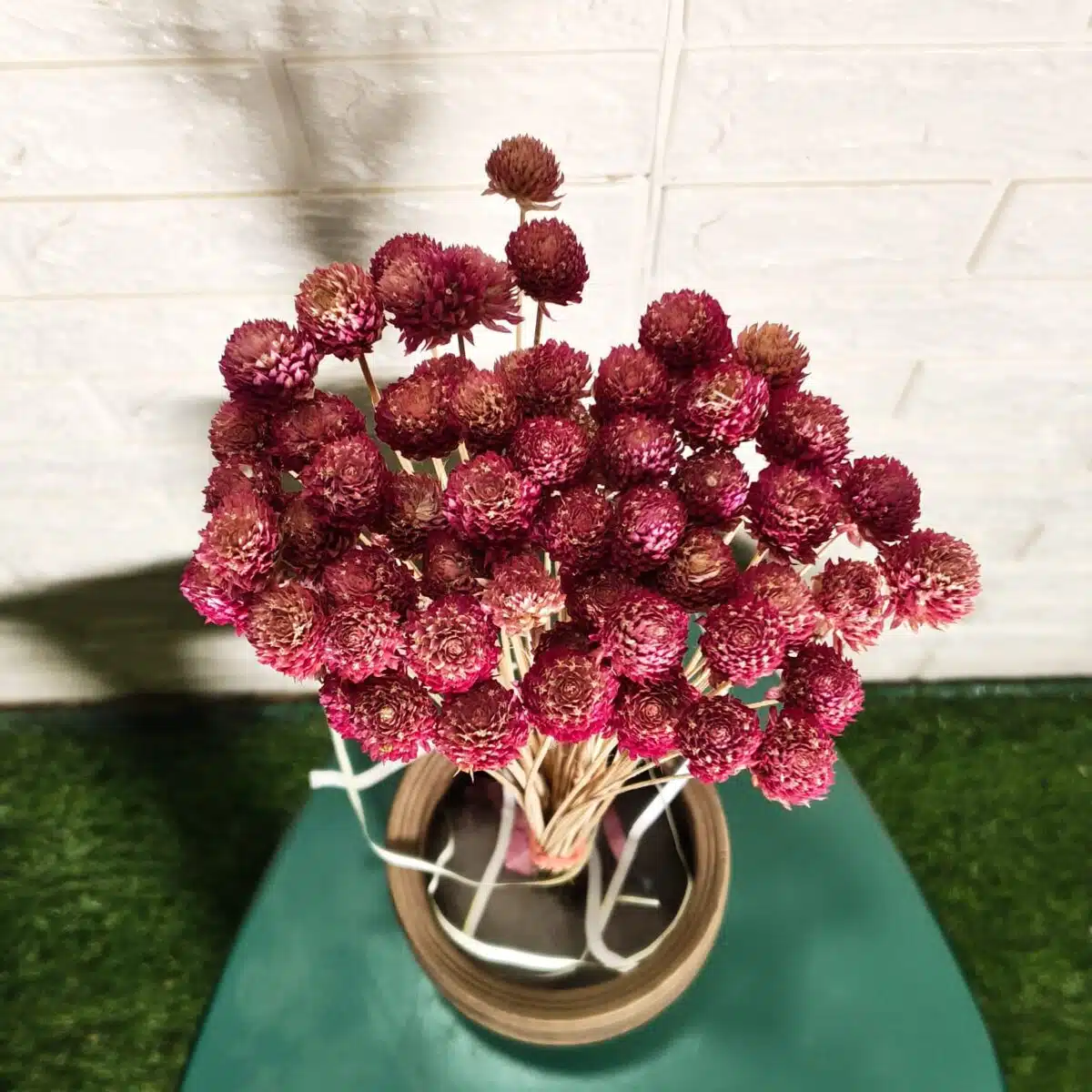 Globosa (Globe Amaranth dried flowers) - Image 3