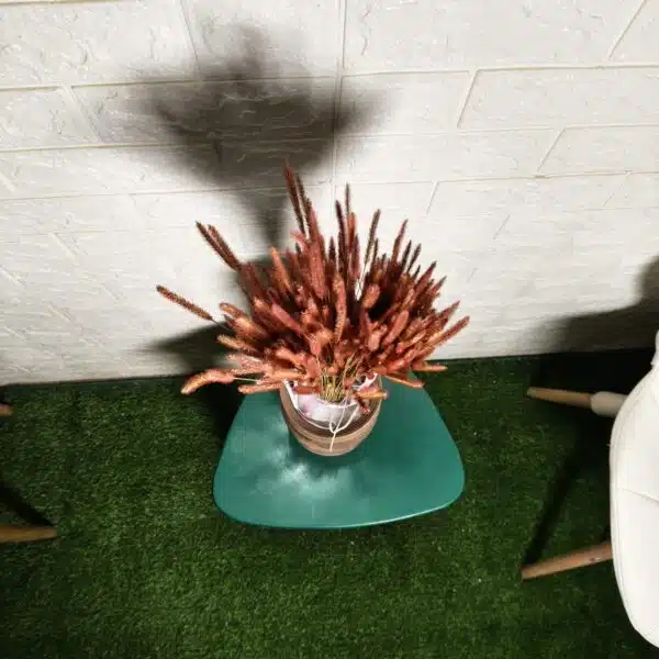 Dried Mountain Grass - Image 2