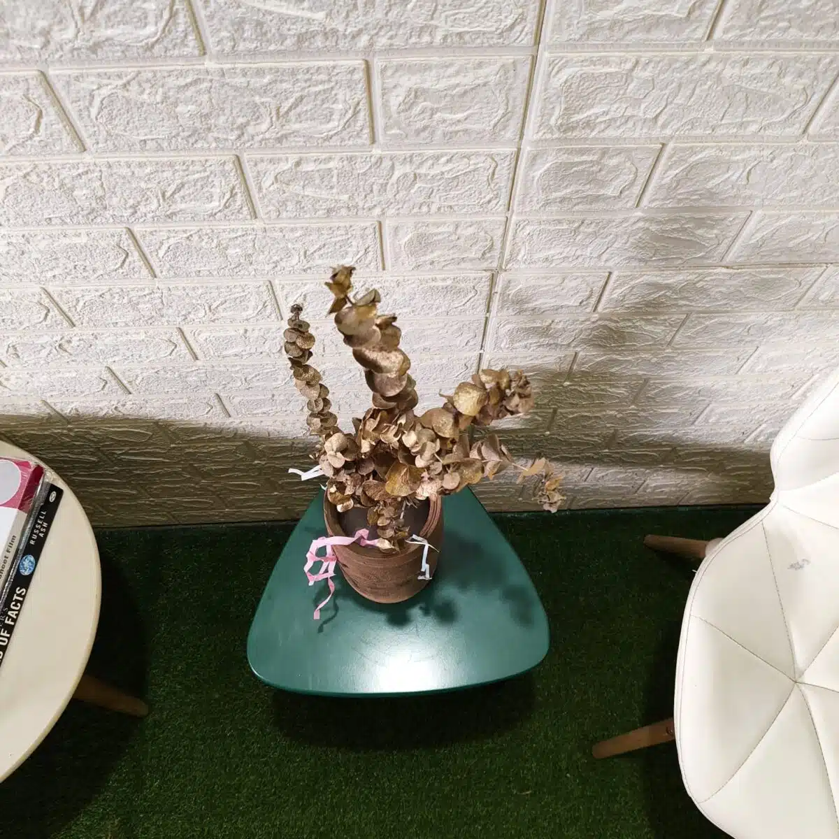 Naturally Dried Eucalypyus Stems (Gold Spray) - Set Of Five Stem - Image 10