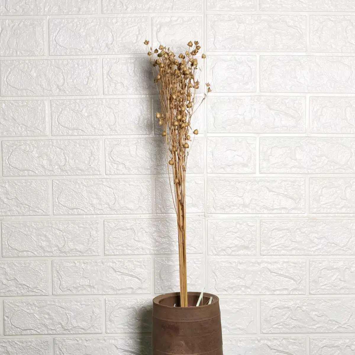 Dried Linseed Flax Flowers - Image 2