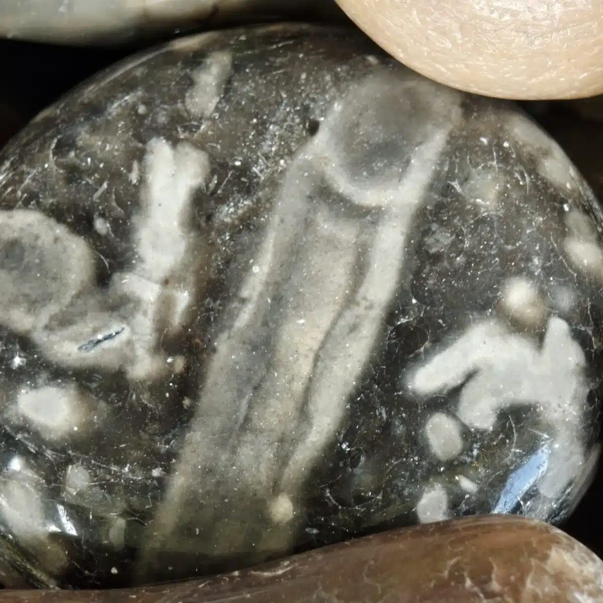 African Pebbles Polished 20-40 mm (Mix Color) - Image 9