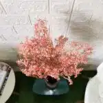 Naturally Dried Gypsophila Baby Breath Stems (Pink)