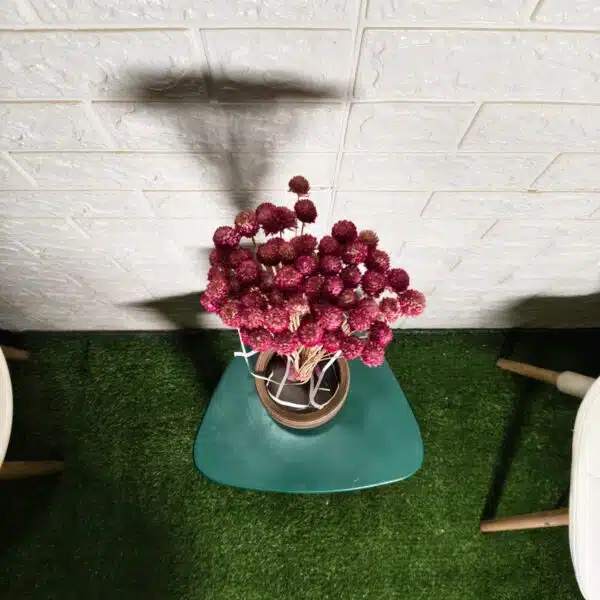 Globosa (Globe Amaranth dried flowers) - Image 2