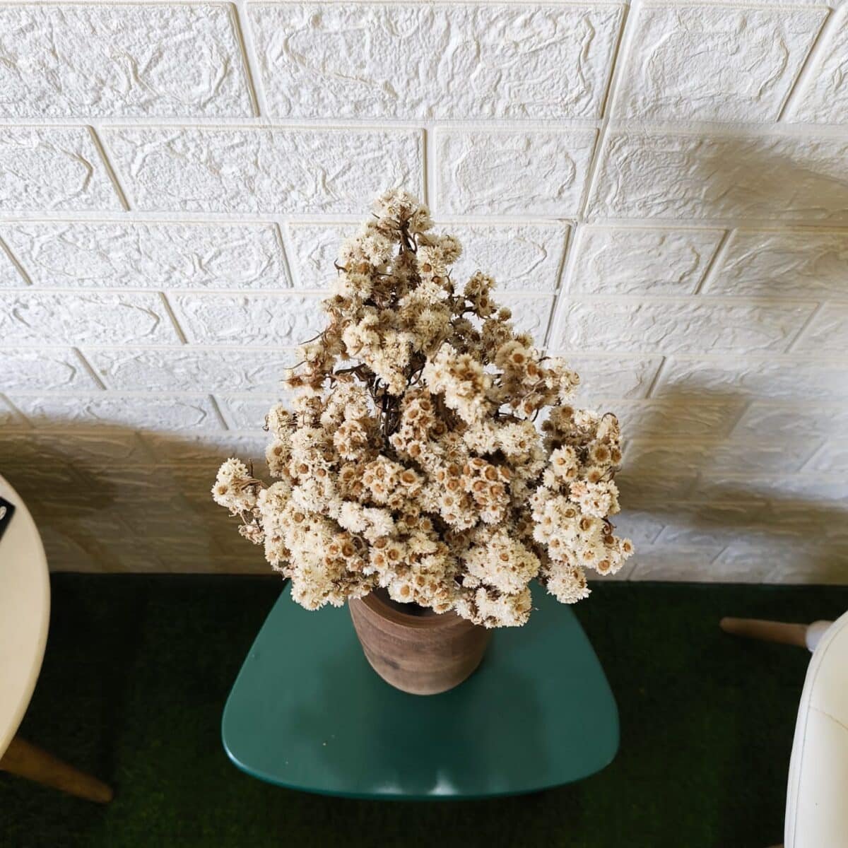 Dried Wild Daisy Preserved Natural Flowers - Image 2