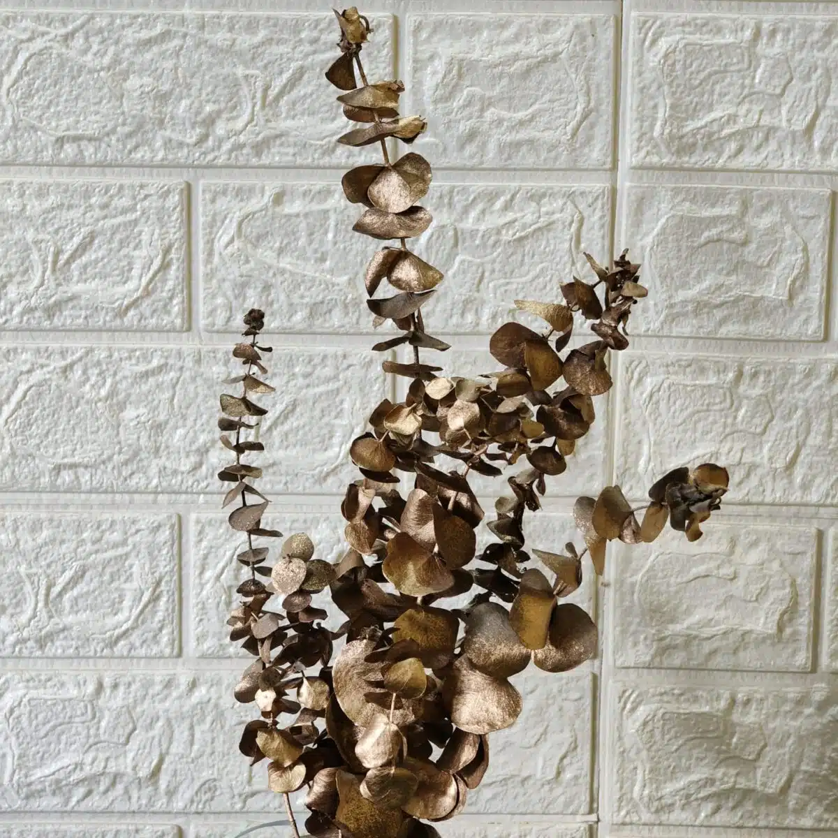 Naturally Dried Eucalypyus Stems (Gold Spray) - Set Of Five Stem - Image 5