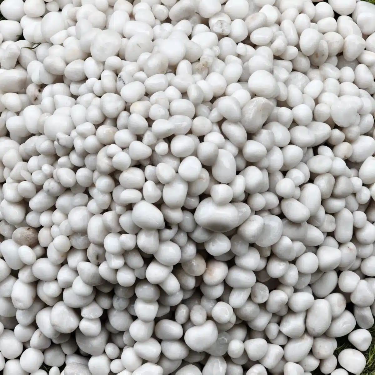 White Pebbles Polished  10-20 mm - Image 3