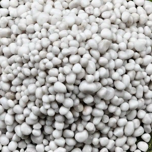 White Pebbles Polished  10-20 mm - Image 3