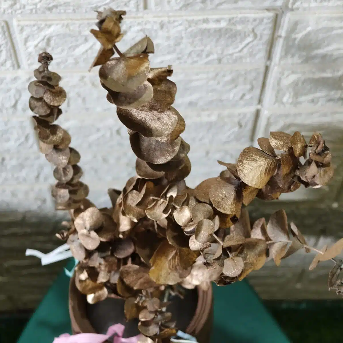 Naturally Dried Eucalypyus Stems (Gold Spray) - Set Of Five Stem - Image 6