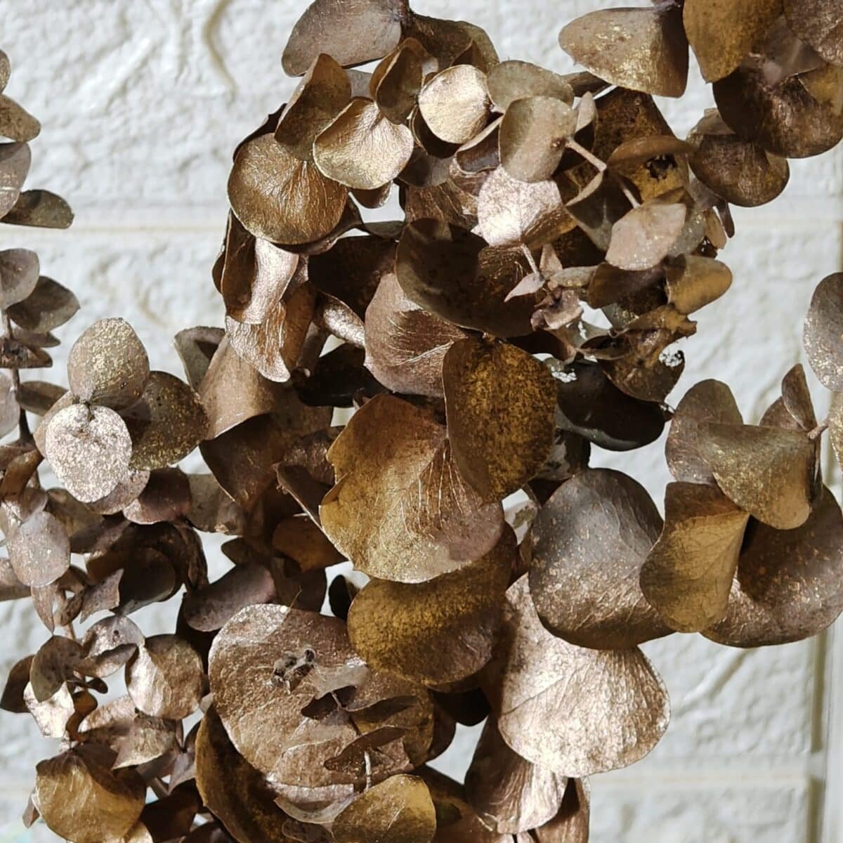 Naturally Dried Eucalypyus Stems (Gold Spray) - Set Of Five Stem - Image 8