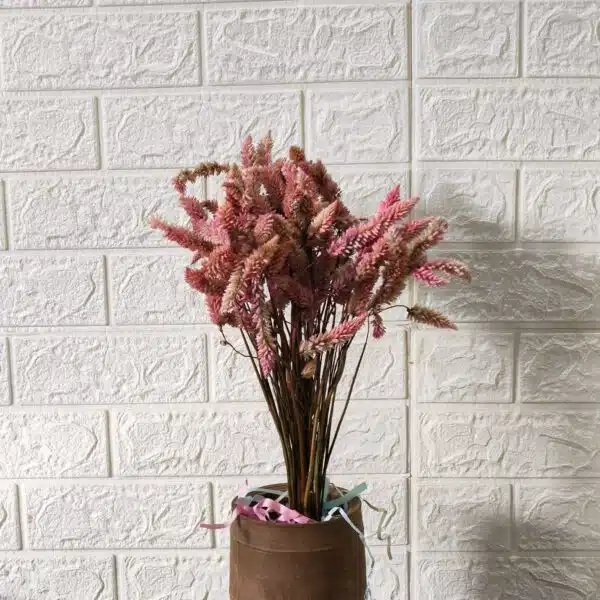 Dried Celosia Flowers, Flamingo Feather - Image 5