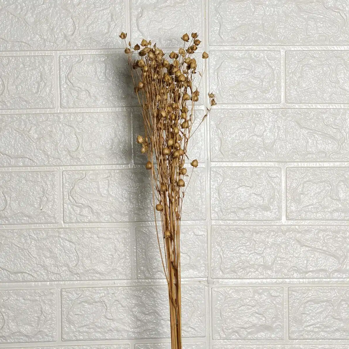 Dried Linseed Flax Flowers - Image 3