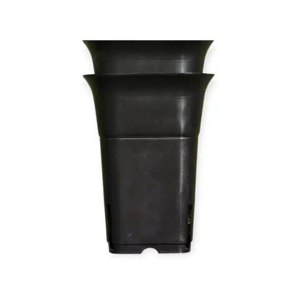 Square Tall 3.5 Inches (Diameter)/(Height) 5 Inches - Image 2