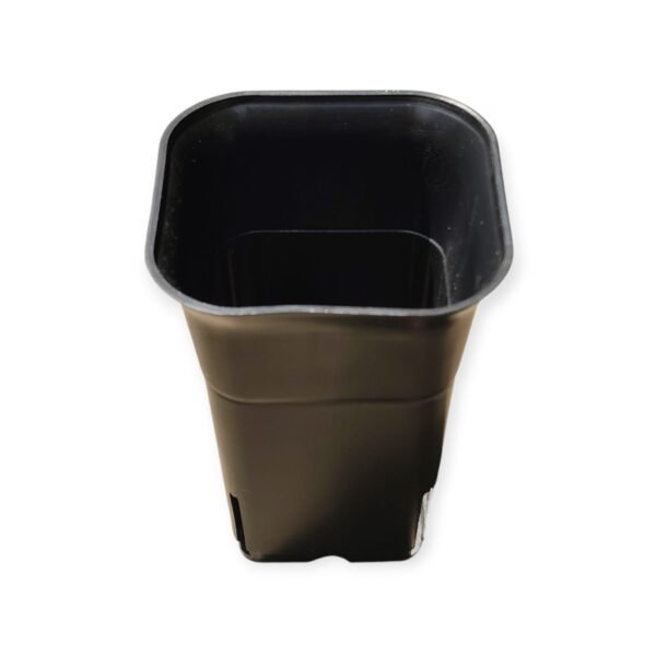 Square Tall Pot 3.5 Inches (Diameter)/5 Inches (Height) - Image 4