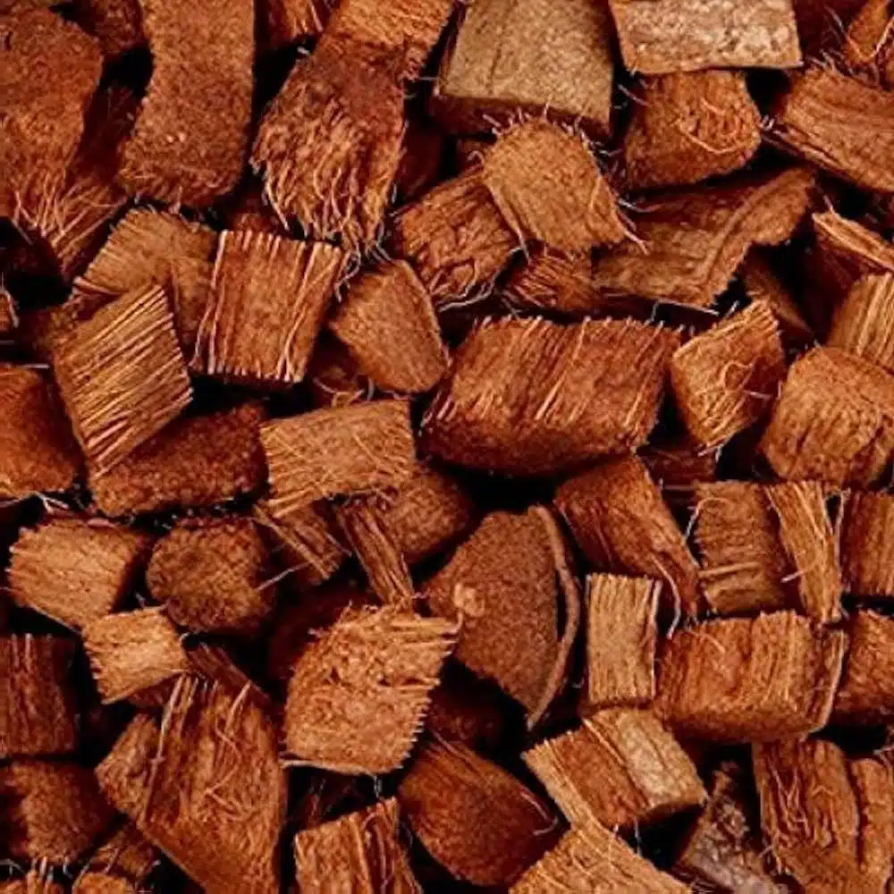 Coco Chips (Chipped Coconut Husks) - Image 2
