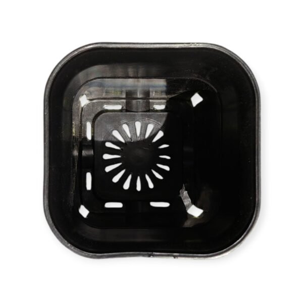 Square Tall Pot 3.5 Inches (Diameter)/5 Inches (Height) - Image 8