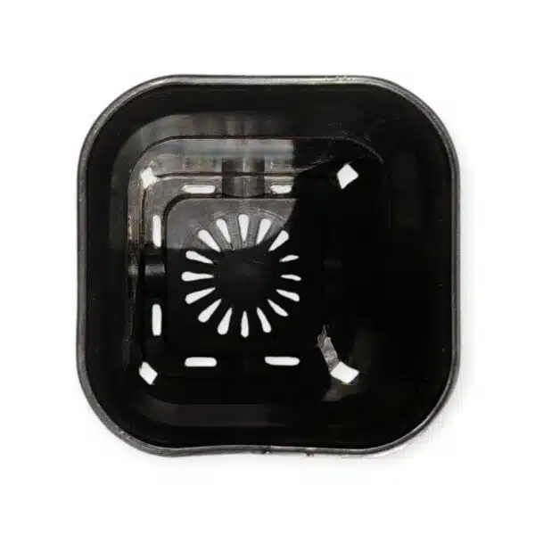 Square Tall 3.5 Inches (Diameter)/(Height) 5 Inches - Image 8