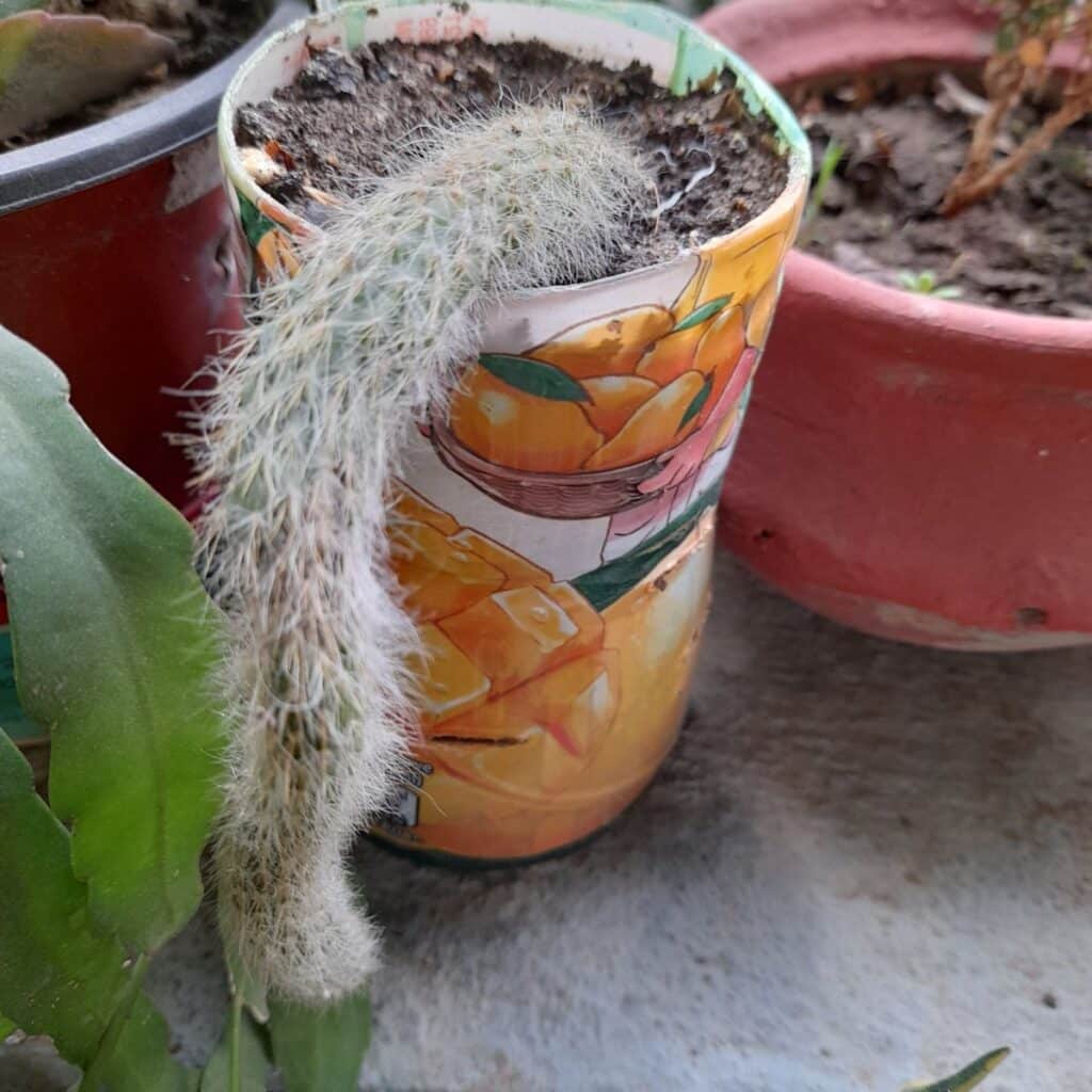 Image #1 from Harun All Rashid Mollah