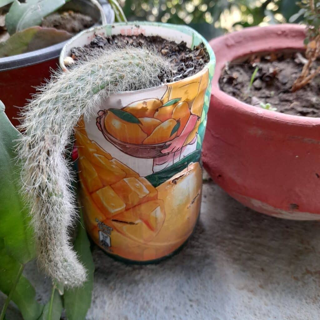 Image #2 from Harun All Rashid Mollah