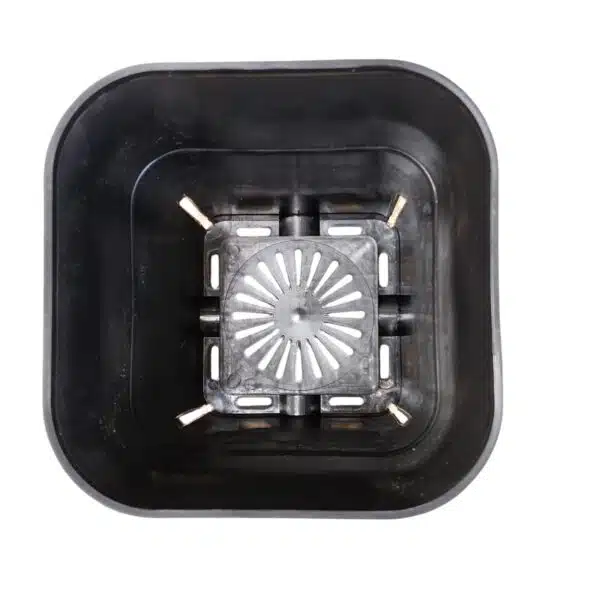 Square Tall 6 Inches (Diameter)/ (Height) 7.5 Inches - Image 16