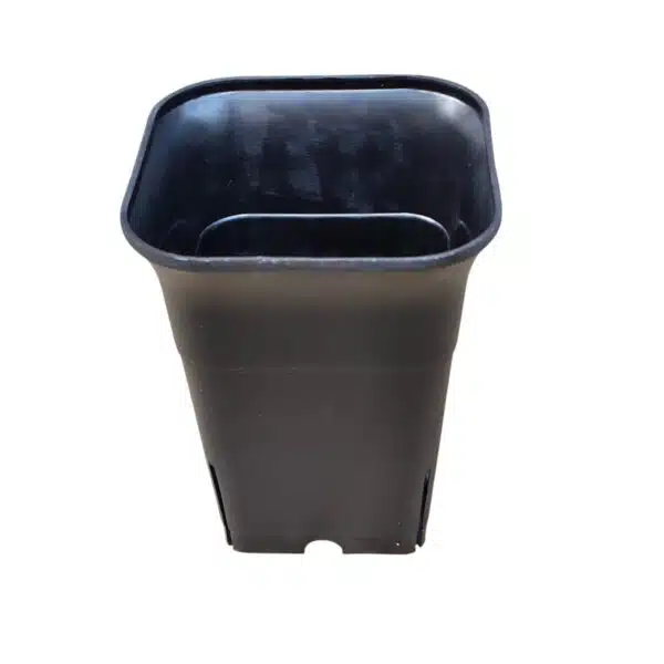 Square Tall 6 Inches (Diameter)/ (Height) 7.5 Inches - Image 14