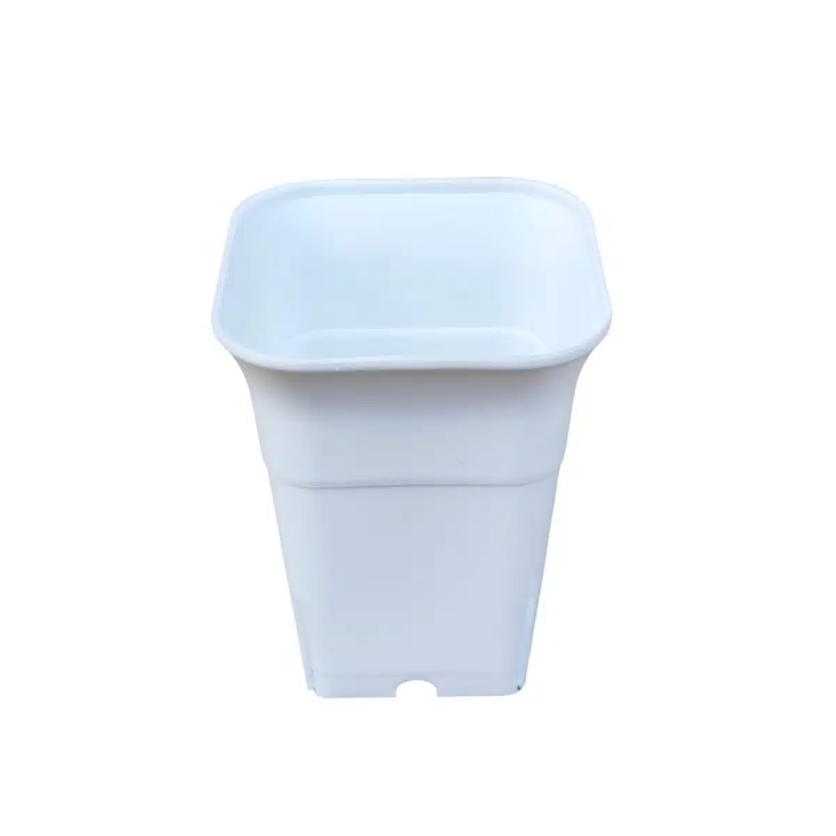 Square Tall 6 Inches (Diameter)/ (Height) 7.5 Inches - Image 3