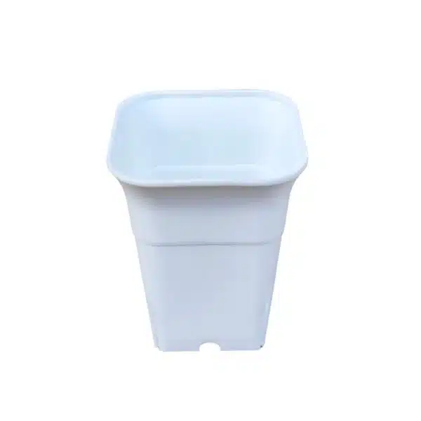 Square Tall 6 Inches (Diameter)/ (Height) 7.5 Inches - Image 3