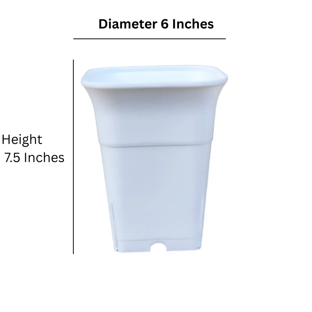 Square Tall 6 Inches (Diameter)/ (Height) 7.5 Inches - Image 2