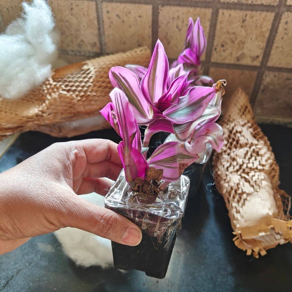 Image #1 from Sayanti Sikder