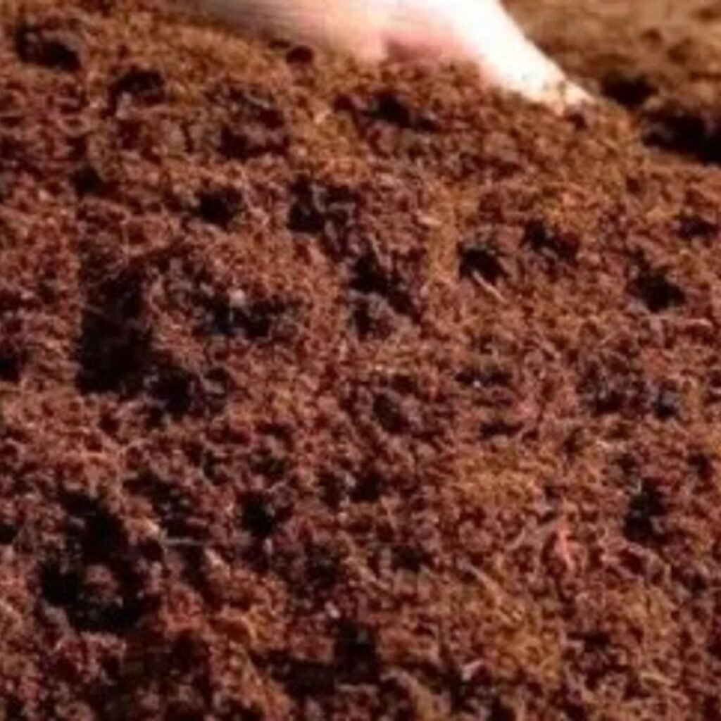 Image #2 from Anonymous