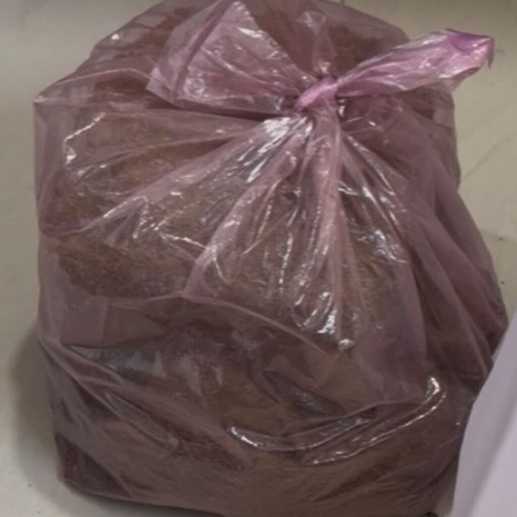 Image #1 from Anonymous