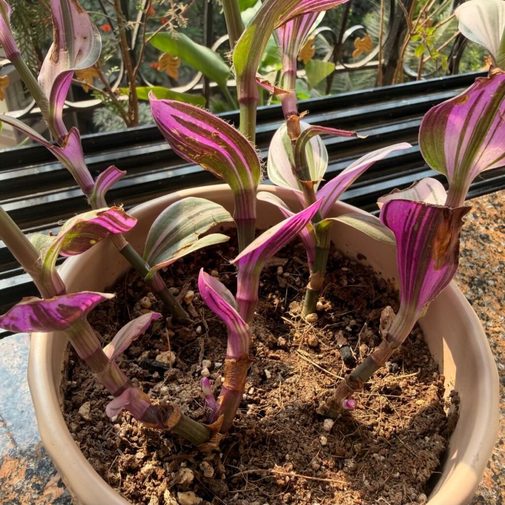 Image #5 from Anonymous