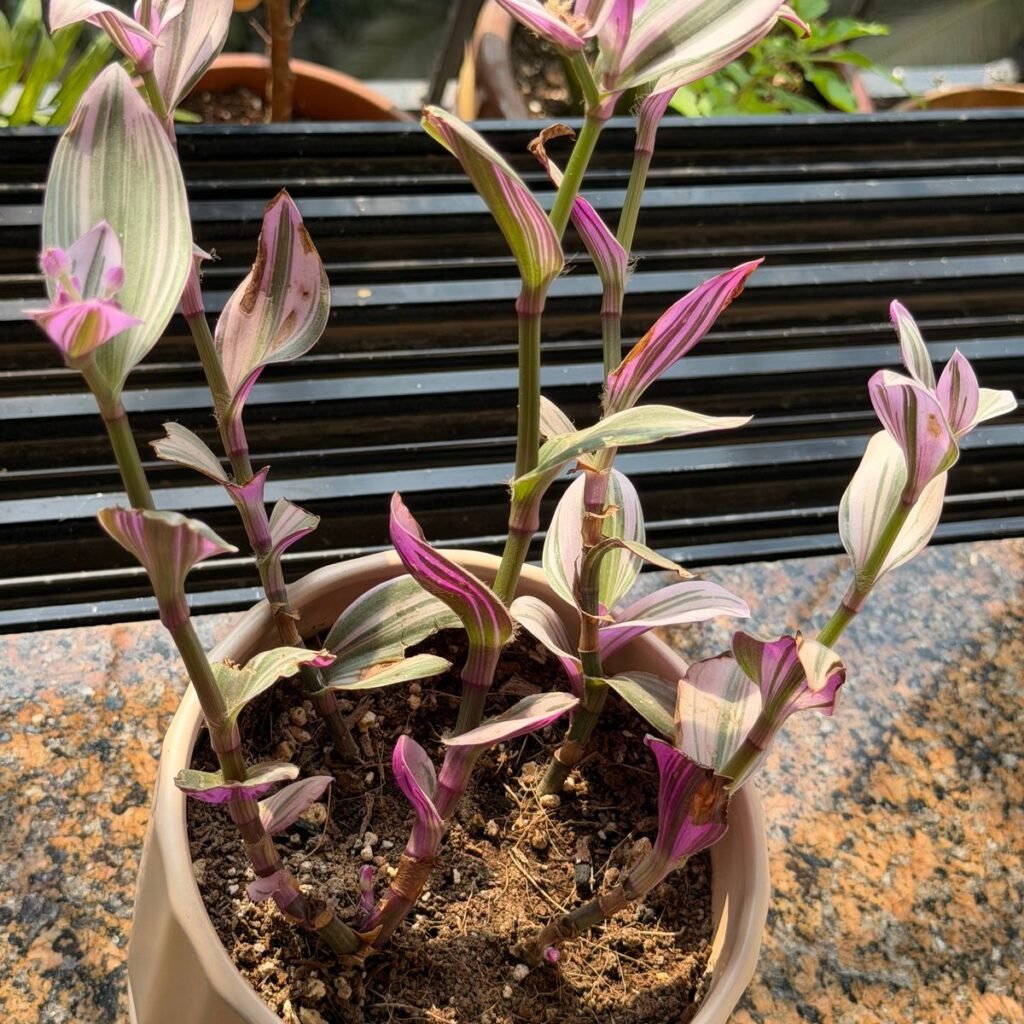 Image #3 from Anonymous