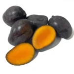 Mango Kasturi (Mangifera casturi)